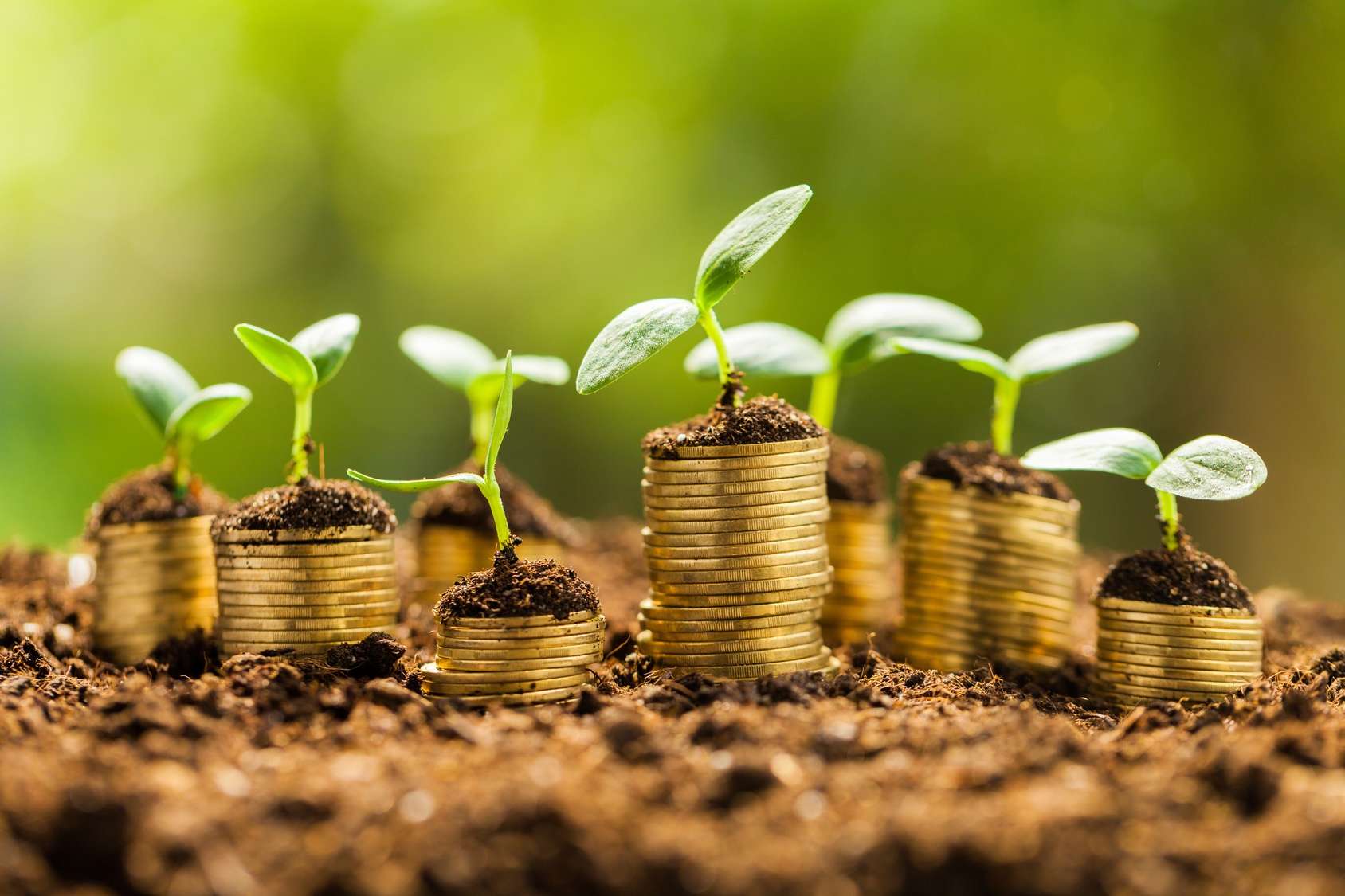 seedlings growing out of stacks of coin money